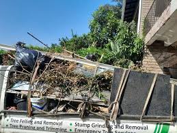 Best Recycling Services for Junk  in Rapid City, SD