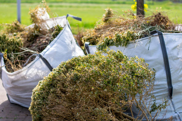 Best Dumpster Rental Services  in Rapid City, SD